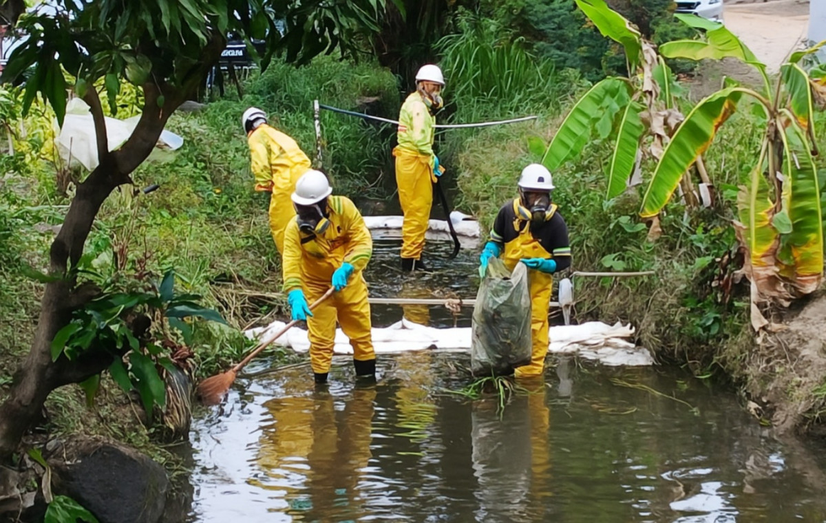 Após denúncias, CPRH investiga origem de combustível que teria contaminado canal e matado animais no Recife